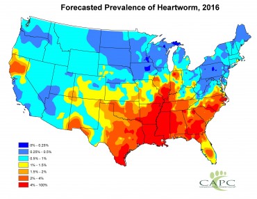heartworm map cats dog greater infection risk dogs parasite awareness pet prevention round year parasites pets cat mosquito disease