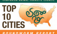 Roundworm Overview Detailer