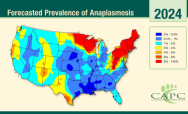 2024 Anaplasma spp. Forecast