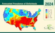 2024 Ehrlichia spp. Forecast