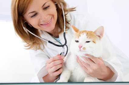 Young_Female_Veterinary_Caring_of_a_Cute_Cat.jpg
